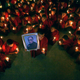 Image for article titled Photos: The Tibetan uprising of 1959 that led to the Dalai Lama’s long exile